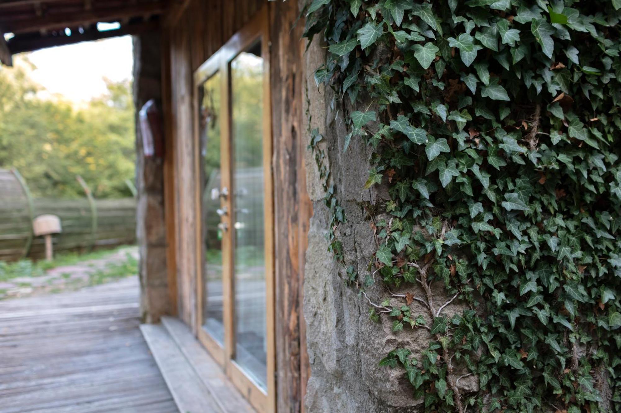 Hindiba Doga Evi Hotel Mengen ห้อง รูปภาพ